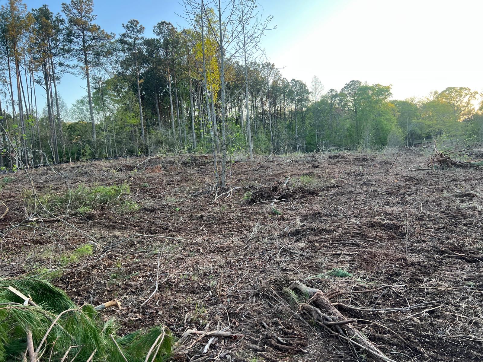 Land Clearing, Metro Atlanta